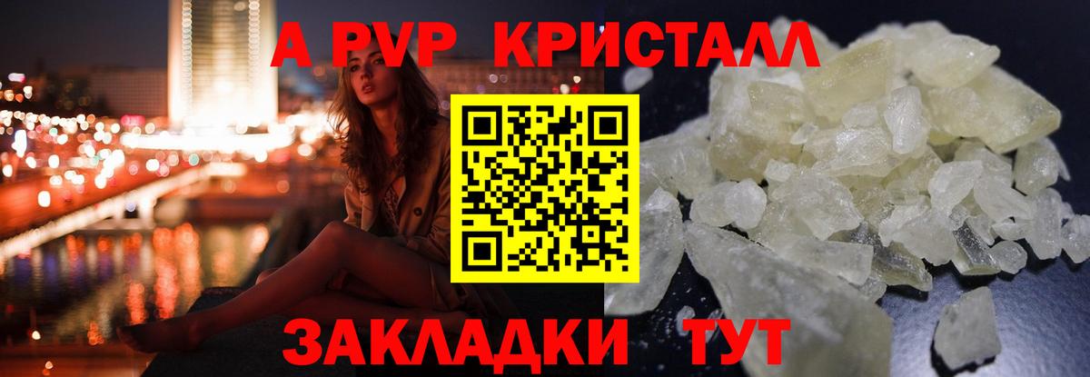 Альфа ПВП СК КРИС Ярославль
