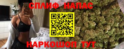 гашик Краснознаменск