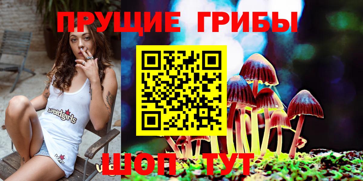 Псилоцибиновые грибы Psilocybe Ярославль